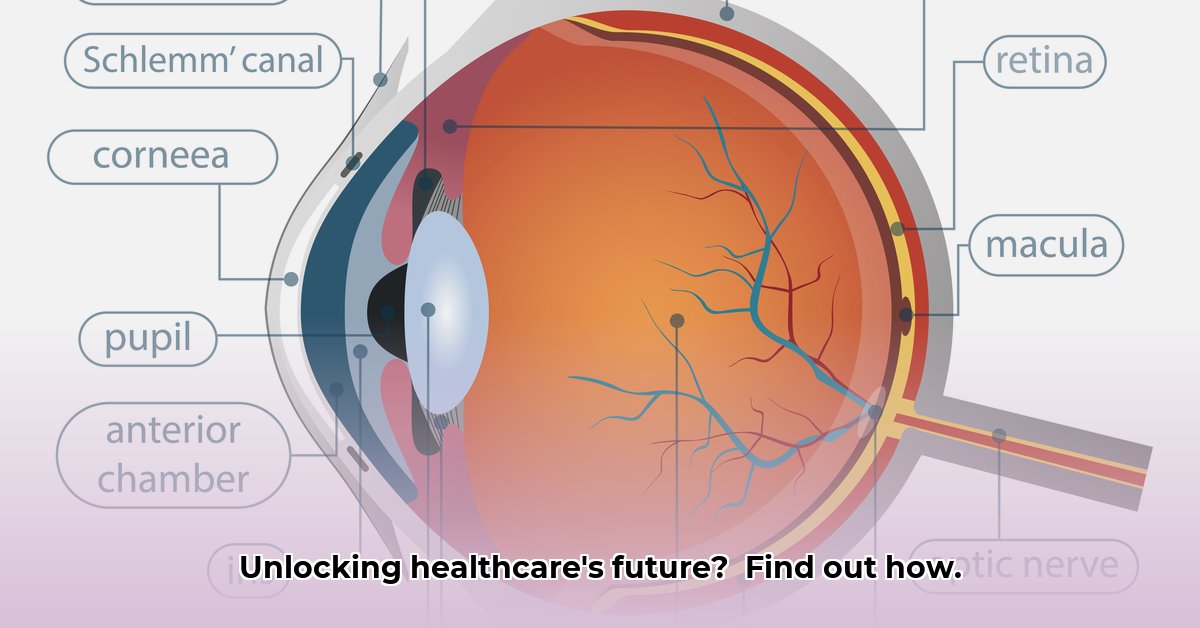 eye-brain-gym-login